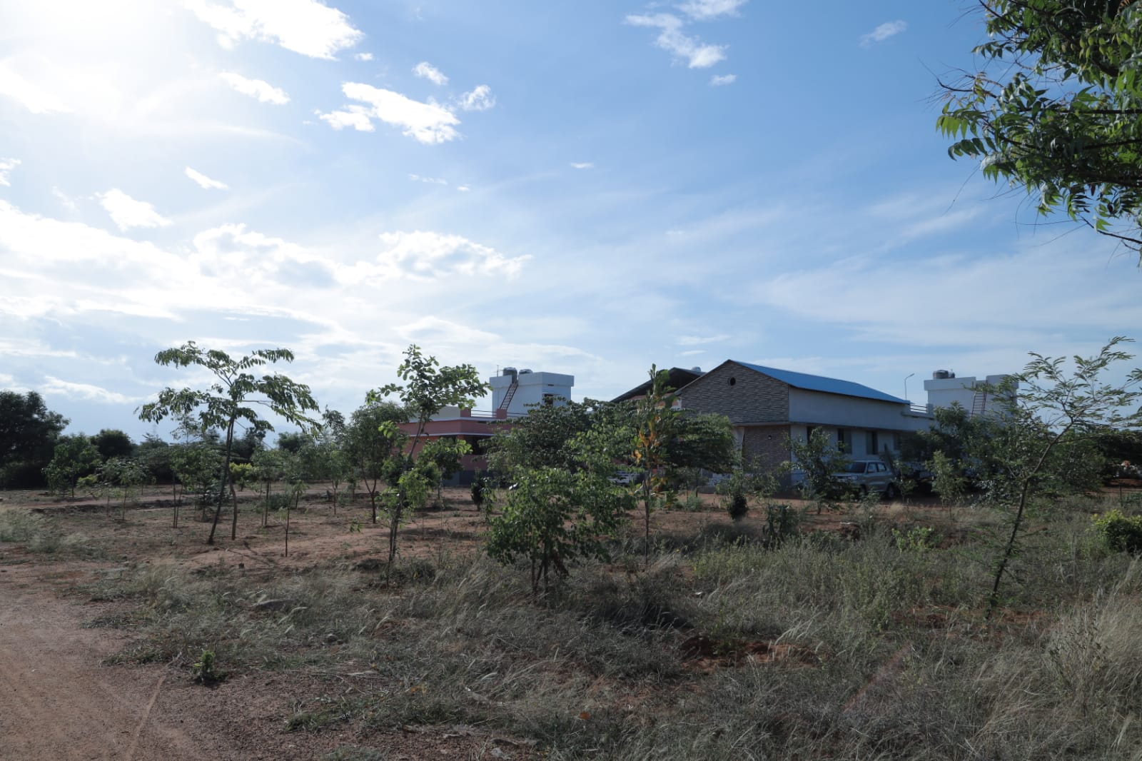Serene green countryside campus with trees and open sky